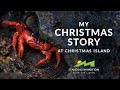 My Christmas Story - at Christmas Island