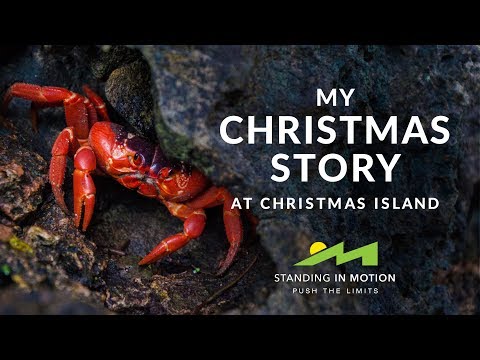 My Christmas Story - at Christmas Island