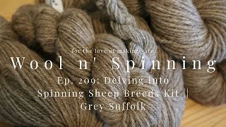 WnS Ep. 209: Delving into Spinning Sheep Breeds Kit || Grey Suffolk