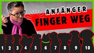 screenshot of the youtube video