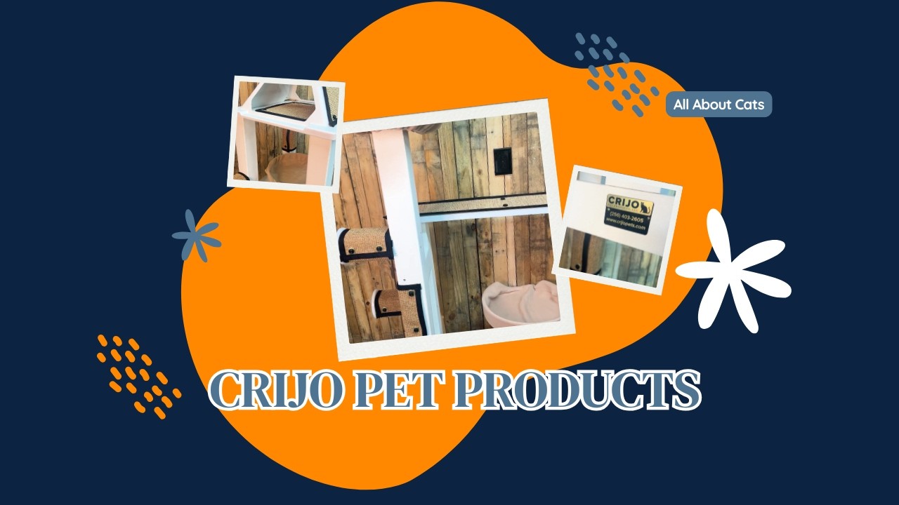 CRIJO Adventure Scratch Post Disassembly