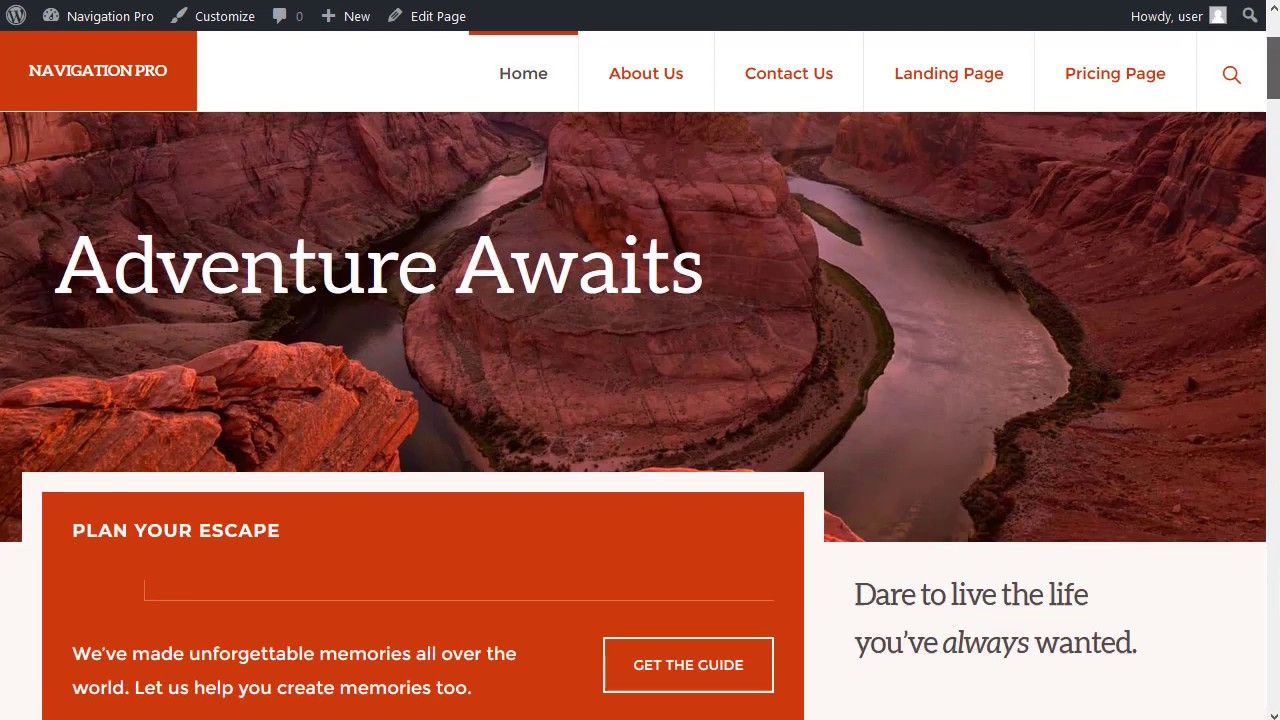 Navigation Pro Theme by StudioPress Starter Pack (or setup wizard ...