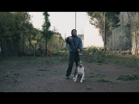 Youtube: Balao – Or brut