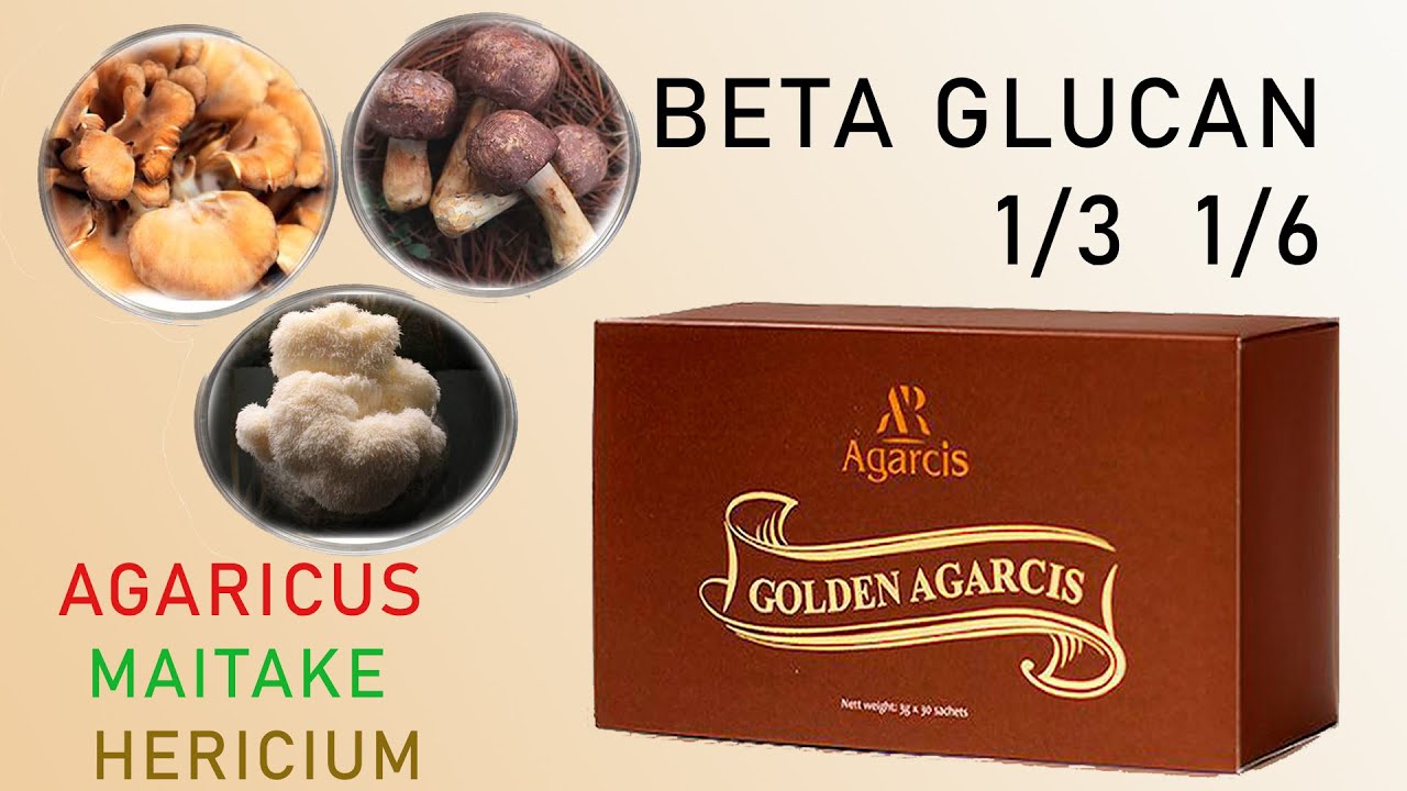 Golden Agarcis (beta glucan 1.3 1.6). Medical mushroom Beta Glucan from AGARCIS company.