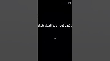 الشيخ محمد صديق المنشاوي سوره الفجر #المنشاوي #لايك #مشاركة #وصلي على النبي 😌🤍