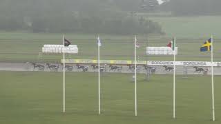 Vidéo de la course PMU PRIX TREARINGSLOPP STON