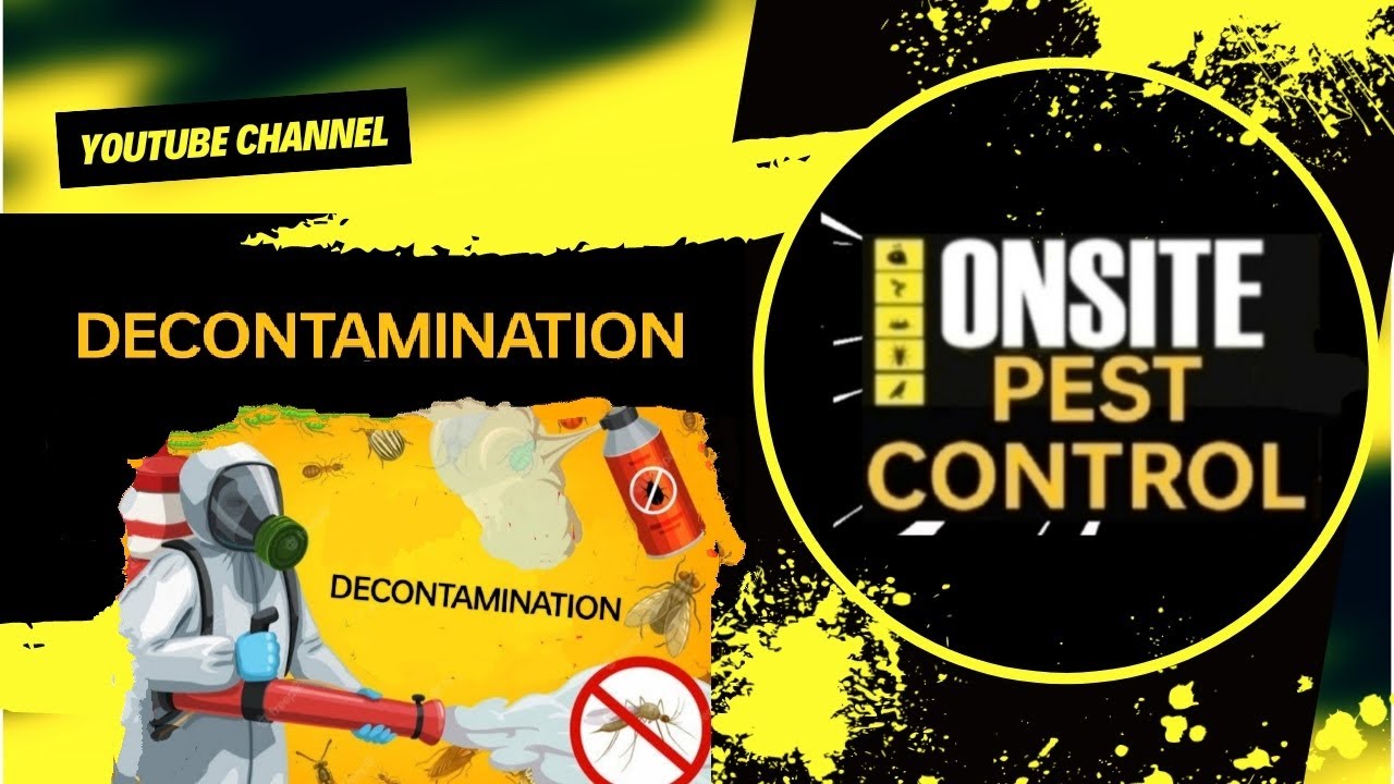 DURBAN PEST CONTROL / Decontamination YouTube