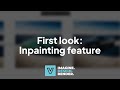 Visualizee Update: Inpainting feature
