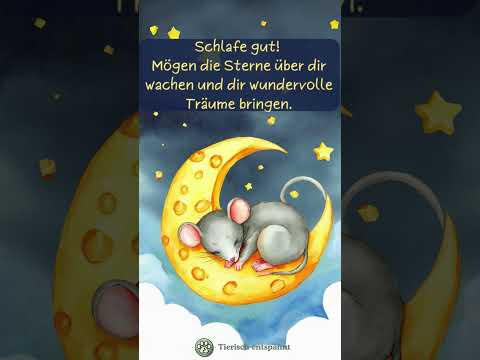 Schlaf gut und