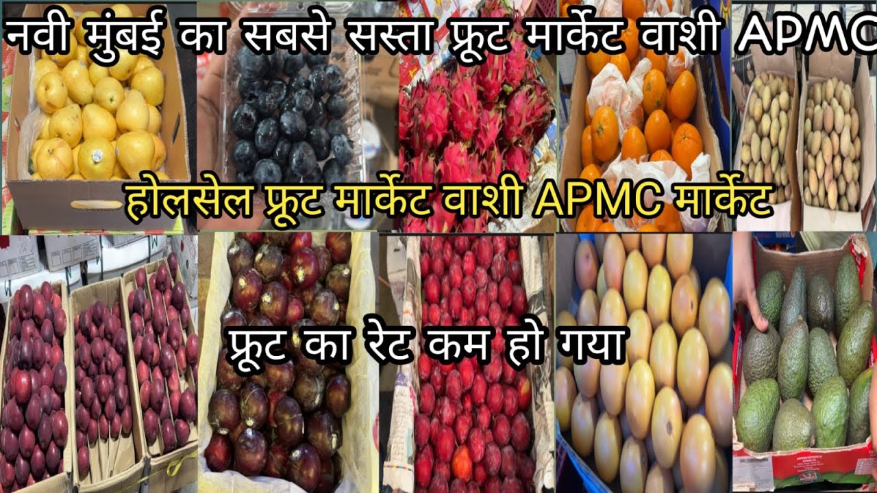 Navi Mumbai Vashi APMC Fruits Market | Wholesale Fruits Market |