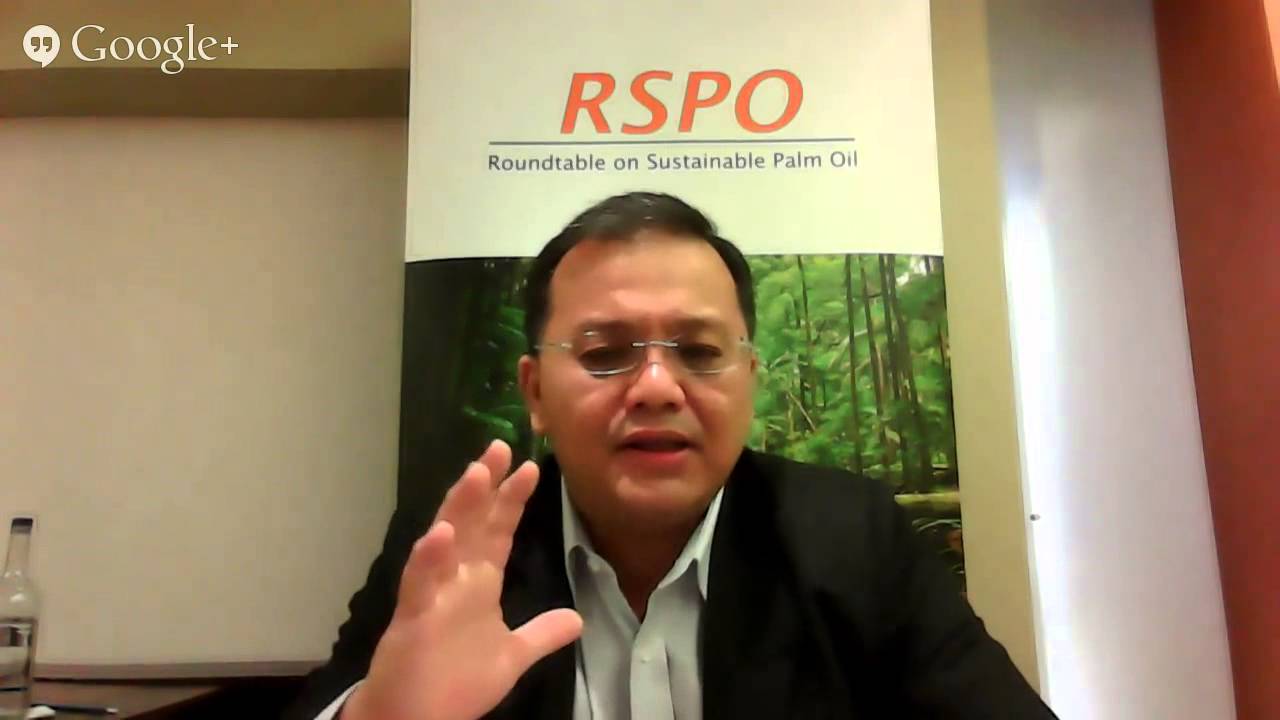 Live RSPO interview - YouTube