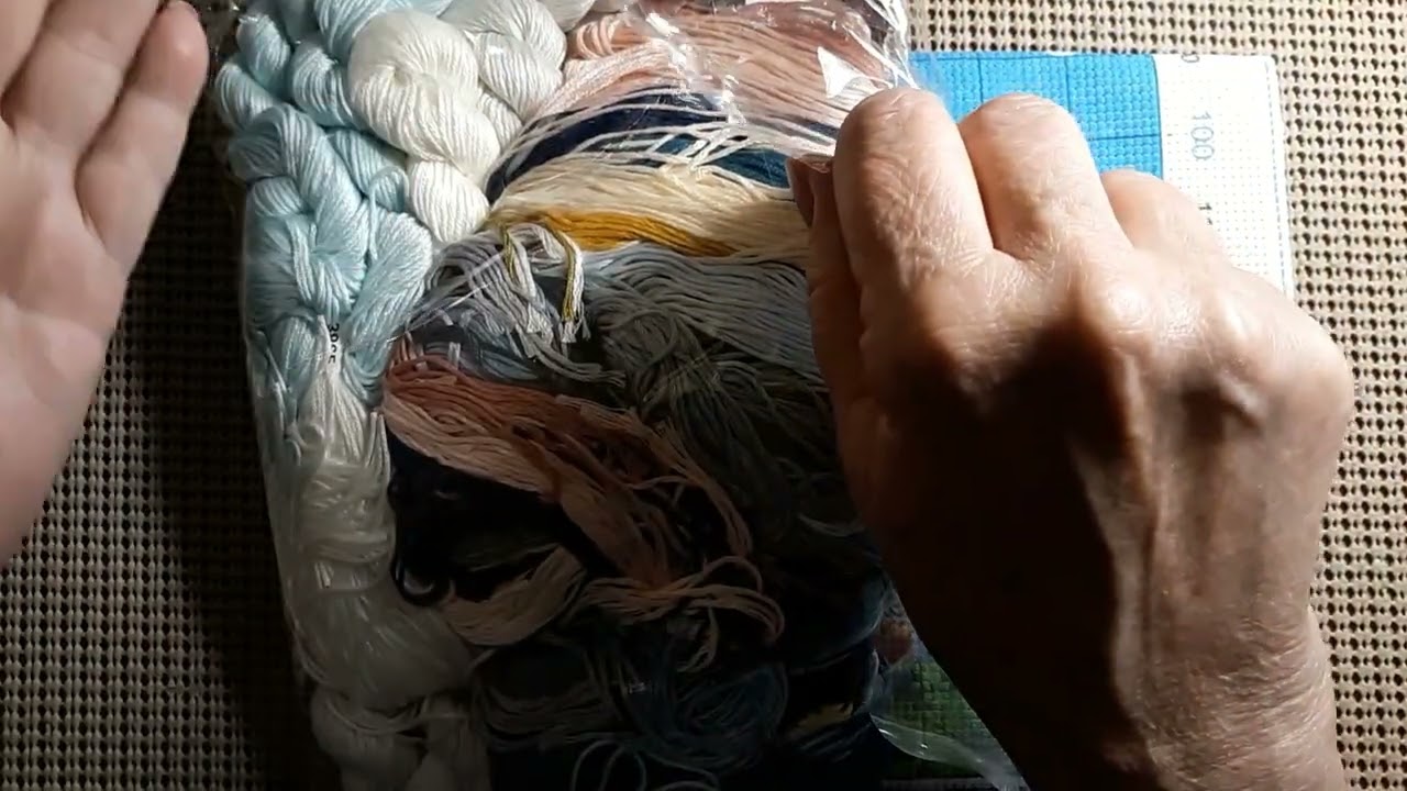 Review of the EveryDayECraft Store-Pre-Stamped Cross Stitch Kits & Hoop 6/24/22