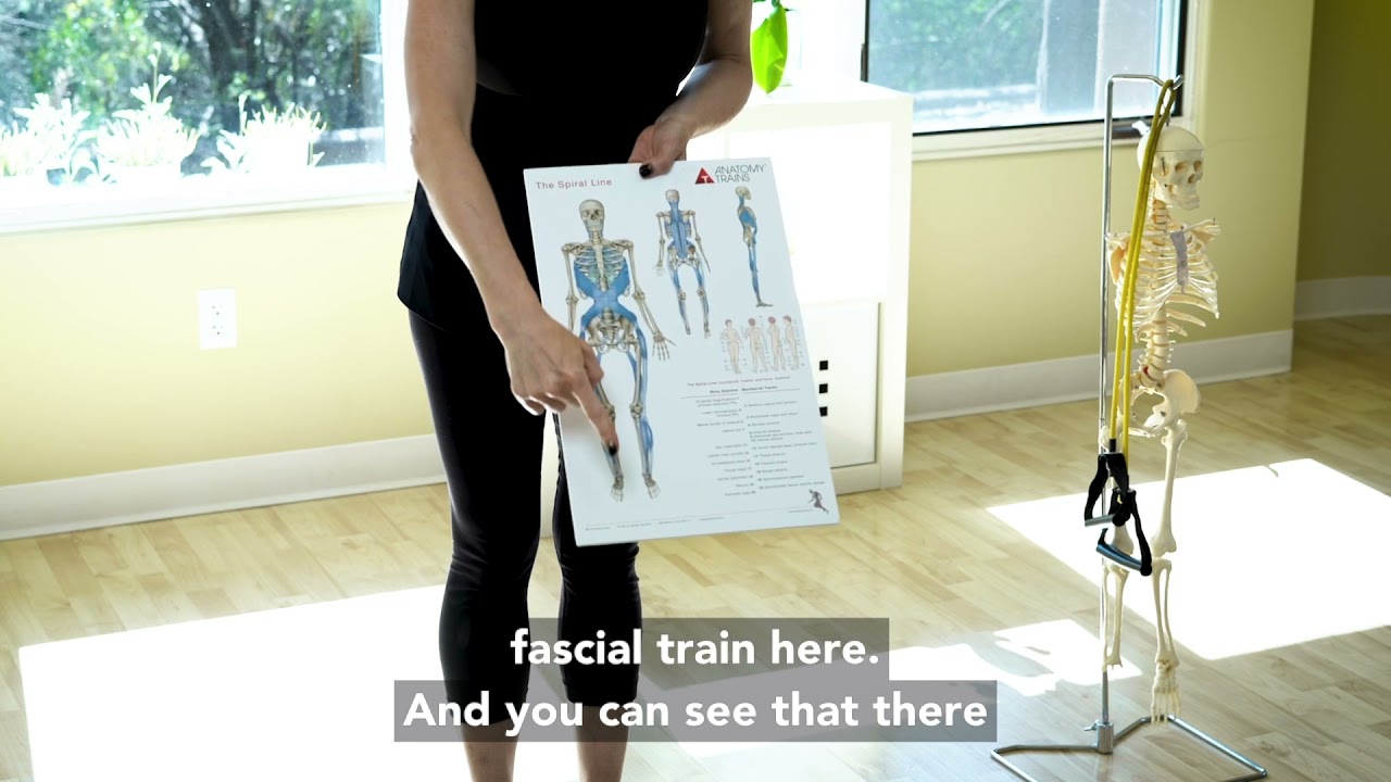 Fascia & Frozen Shoulder YouTube