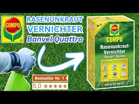 bingenheimer saatgut katalog 2022 Bingenheimer Saatgut  verschied. Sorten