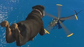 GTA 5 FAILS: #7 (GTA 5 Funny / Brutal Kill Moments Compilation)