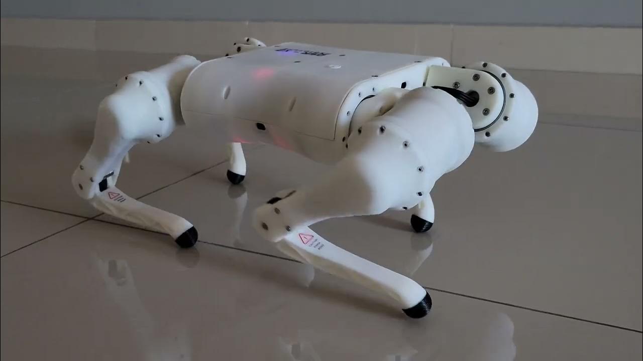 Cold feet Low height walk gate test YouTube