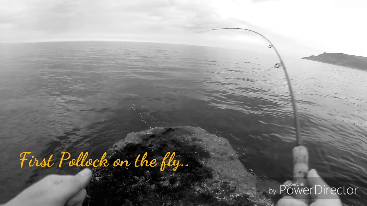 Fly Fishing for Pollock