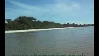 On The Rio Nanay To Mishana