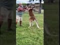 Watch SC man interacts with kangaroo before being found dead in its enclosure