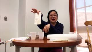 Growing Beans in a Bag