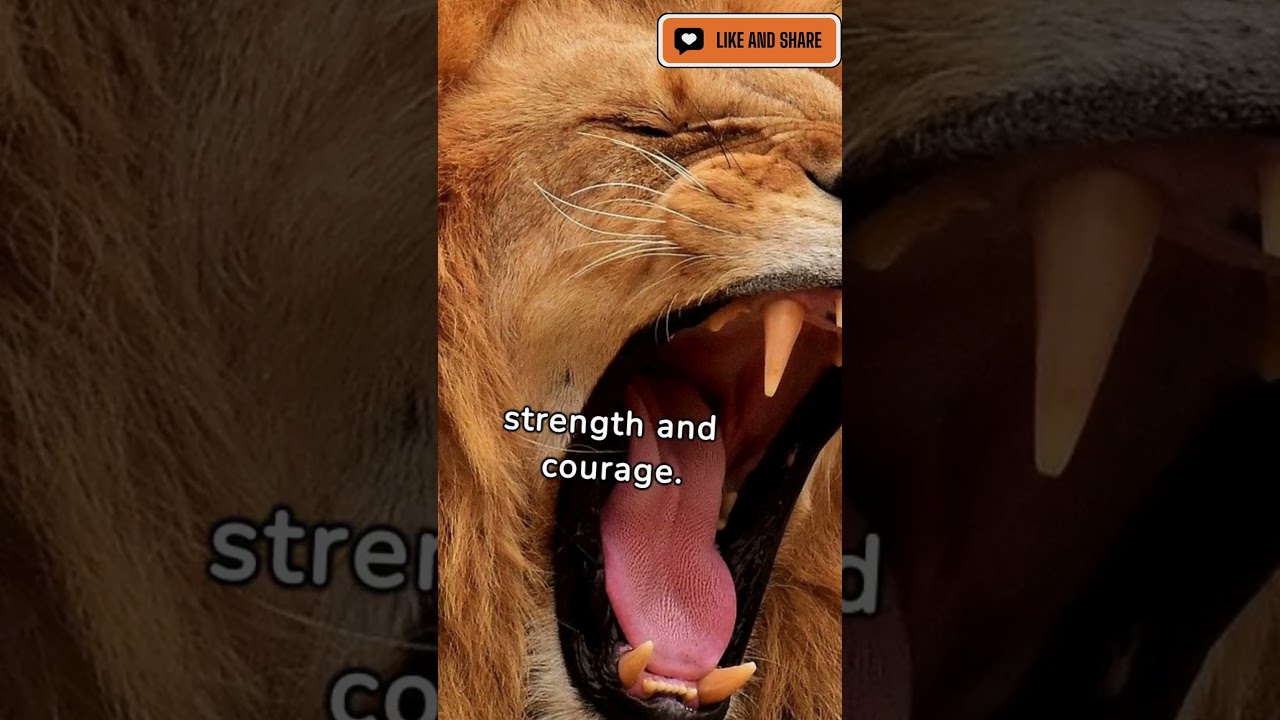 Lion vs. Tiger: Ultimate Battle for Dominance! 🦁🐅