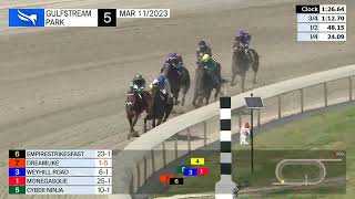 Vidéo de la course PMU MAIDEN SPECIAL WEIGHT