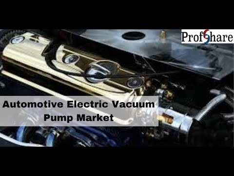 Automotive Electric Vacuum Pump Market