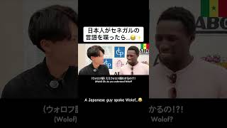 日本人がセネガルの言語を喋ったら...