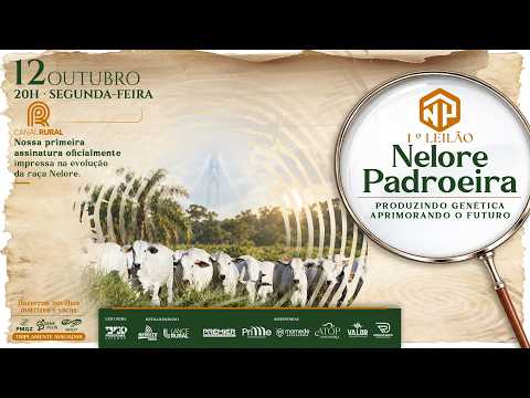 LOTE 29   NPD 197