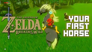 The Legend of Zelda: Breath of the Wild - Getting Your First Horse