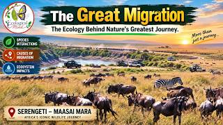 The Great Migration: The Ecology Behind Nature’s Greatest Journey