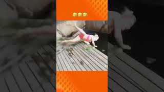 From Oops to Ouch! Watch Girls Embrace the Art of Failing Fabulously