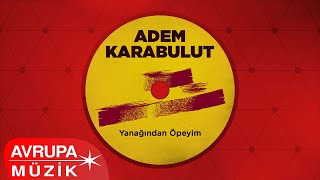 Adem Karabulut - Evlilik Yıl dönümü  Resimi