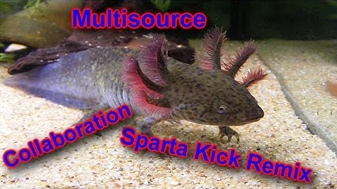 The 18 Part Sparta Kick Collab