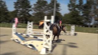 Comming Home Years 2014