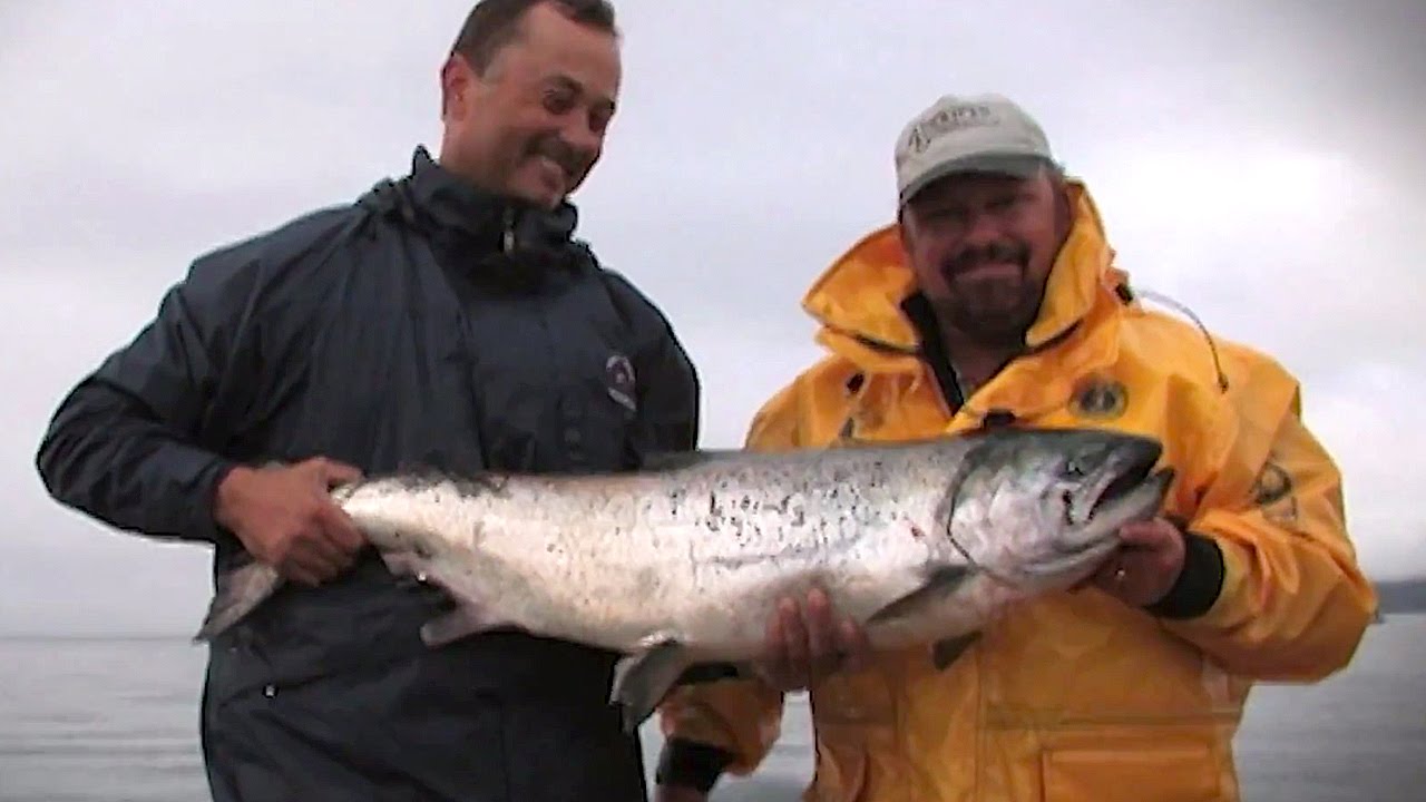 British Columbia Salmon Full Show - YouTube