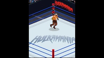 "Rey Mysterio" entrance (619) - Hulkamania Wrestling (Java Mobile)