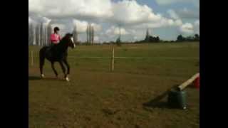 Jump Practice 14.04.12 Pp