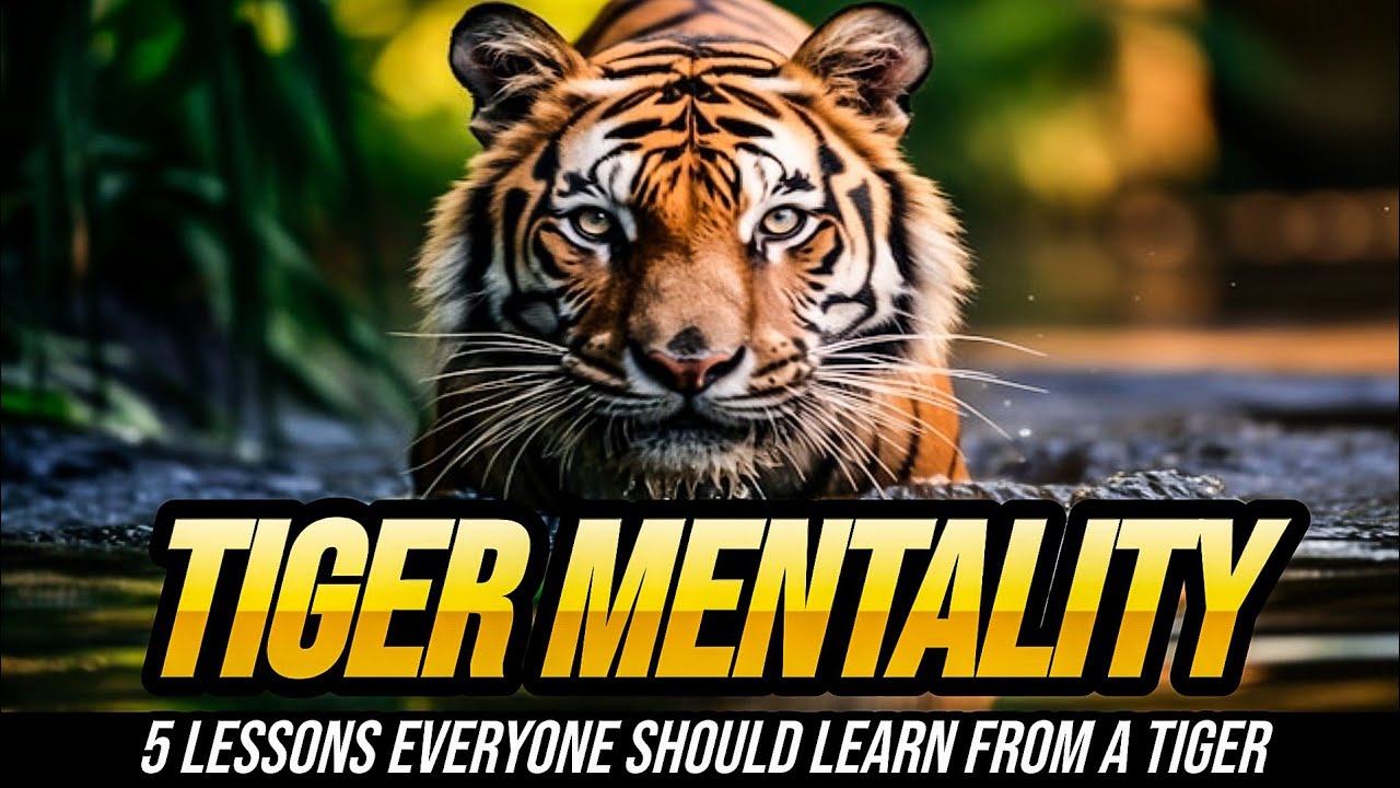 Tiger Mentality in Urdu Hindi| 5 lessons every one should learn from a ...
