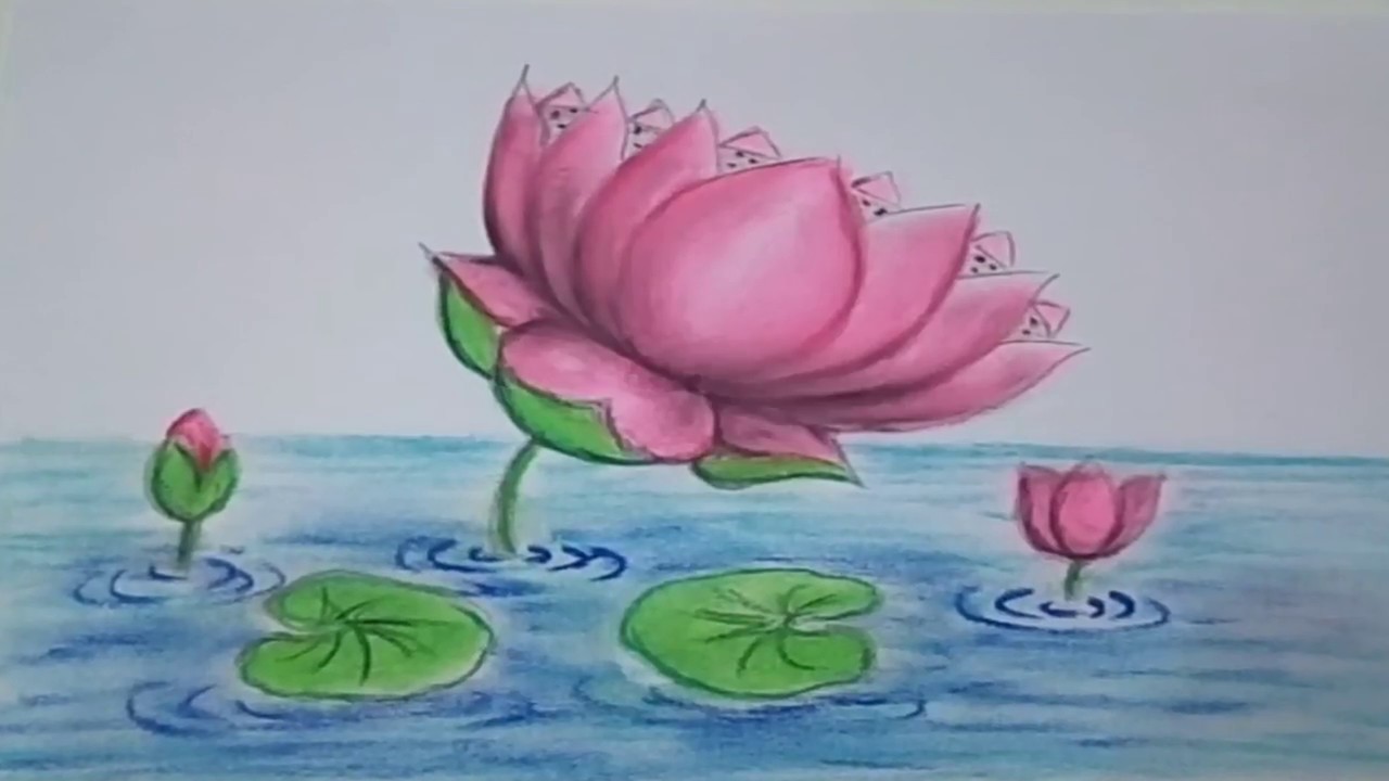 How to draw lotus by soft pastel YouTube