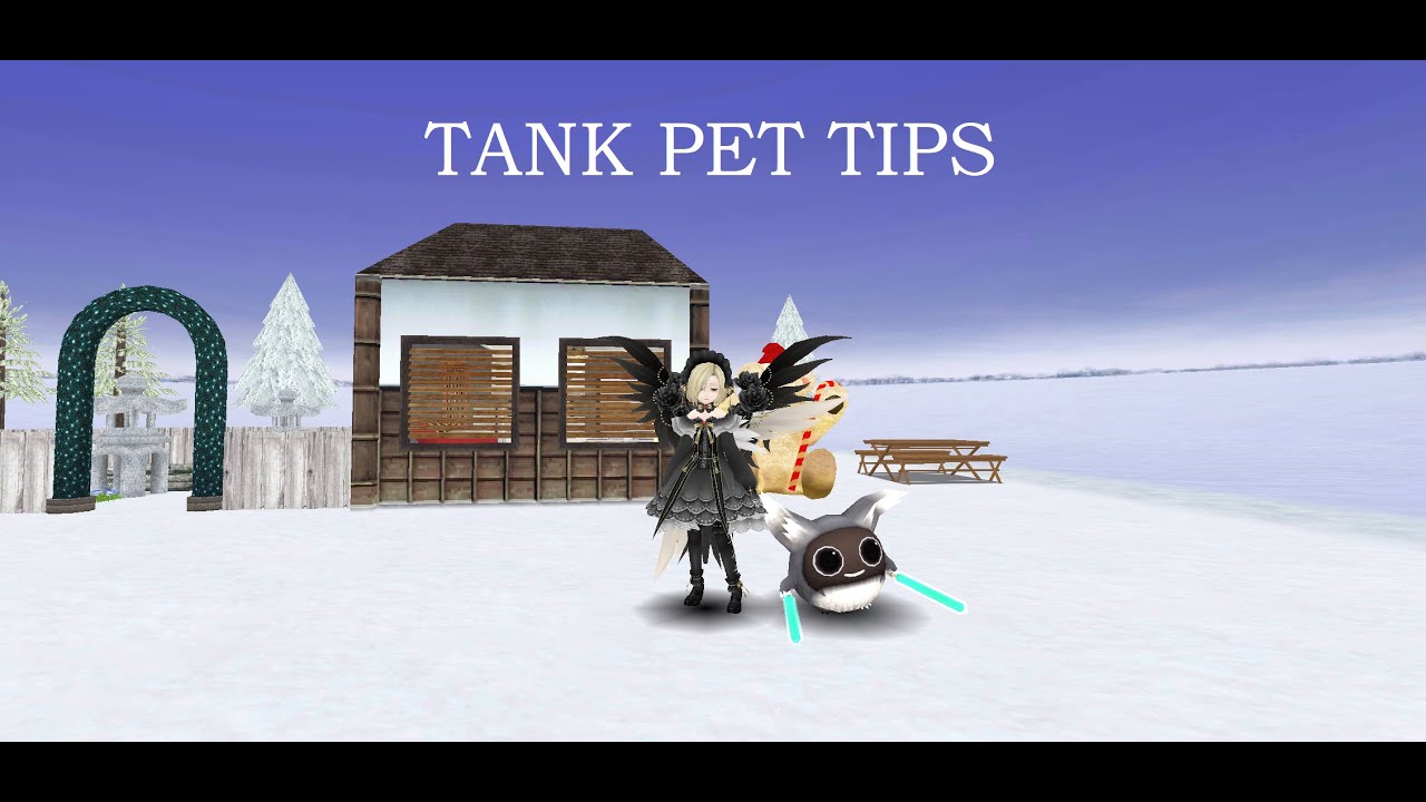 Toram Online Tank Pet Tips YouTube