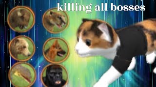 Killing all bosses in cat sim!