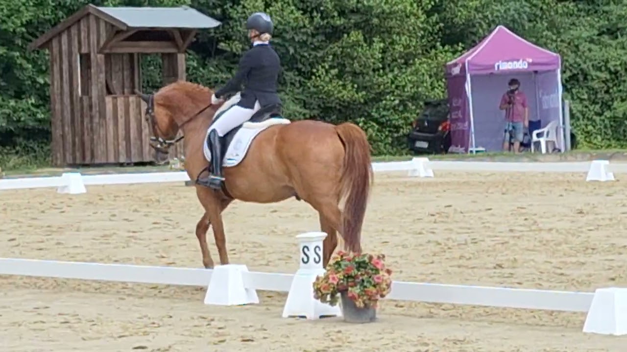 In Heaven,  Dressurpferde Kl. L, Platz 1. Juli 2025