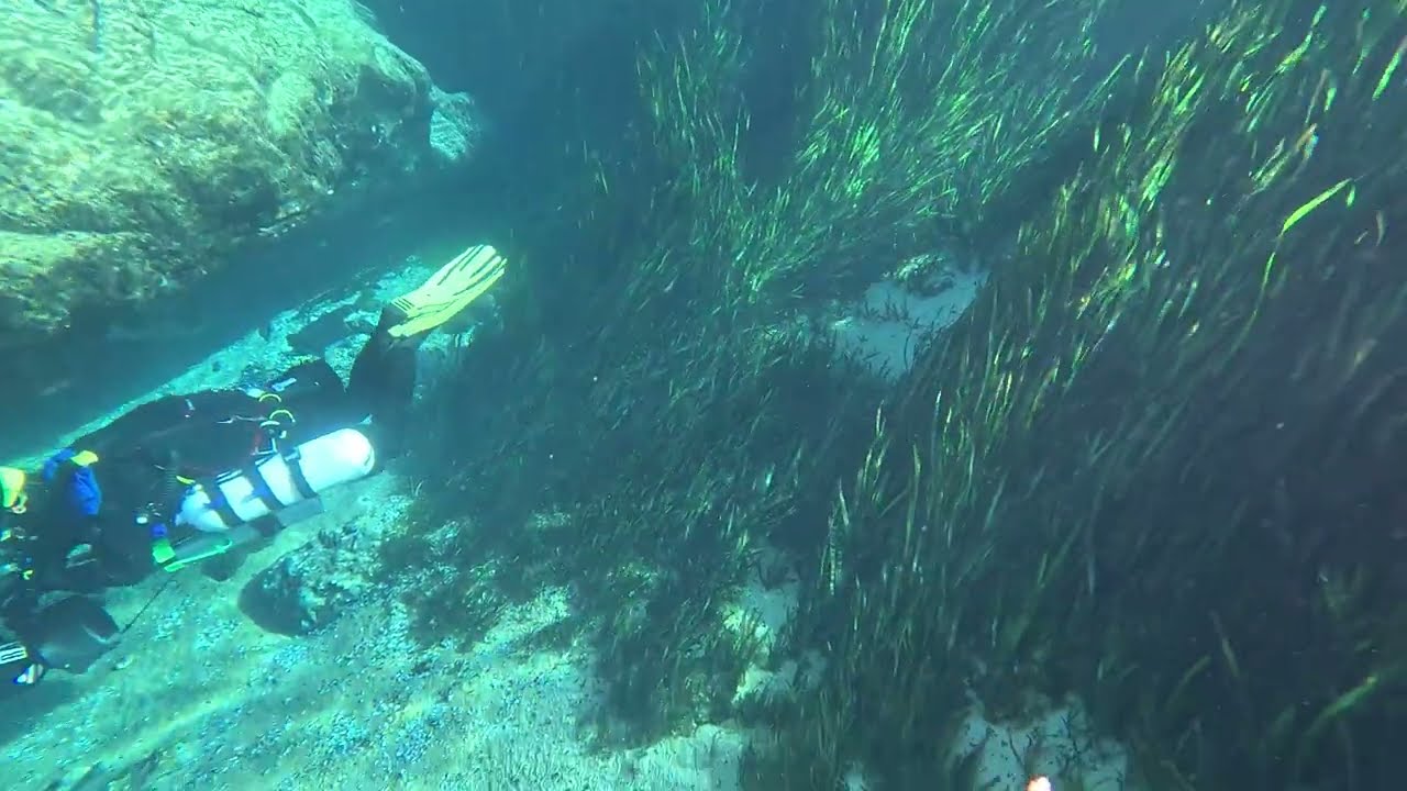 Jackson Blue 1 Surface Into the Cavern