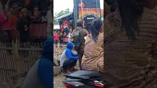 Halo Guys Lagi Nonton Arak Arakanputri Andinio