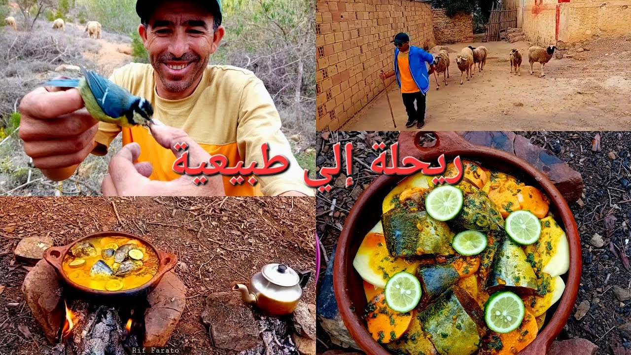 رحلة إلى طبيعية أجيو تعيشو معنا حياة لبرية🏞🏕