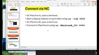 NetCat Lab