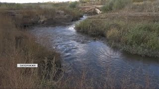 🌺БУЗКОВИЙ БЕРЕГ Запоріжжя! Як мешканці РЯТУЮТЬ РІЧКУ після підриву ГЕС