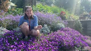 Rating Our Test Garden Plants: the Blue Garden