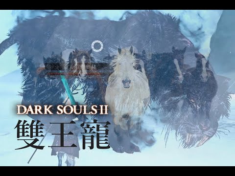 【黑暗靈魂2：原罪哲人】 Boss"雙王寵" |萬馬奔騰~